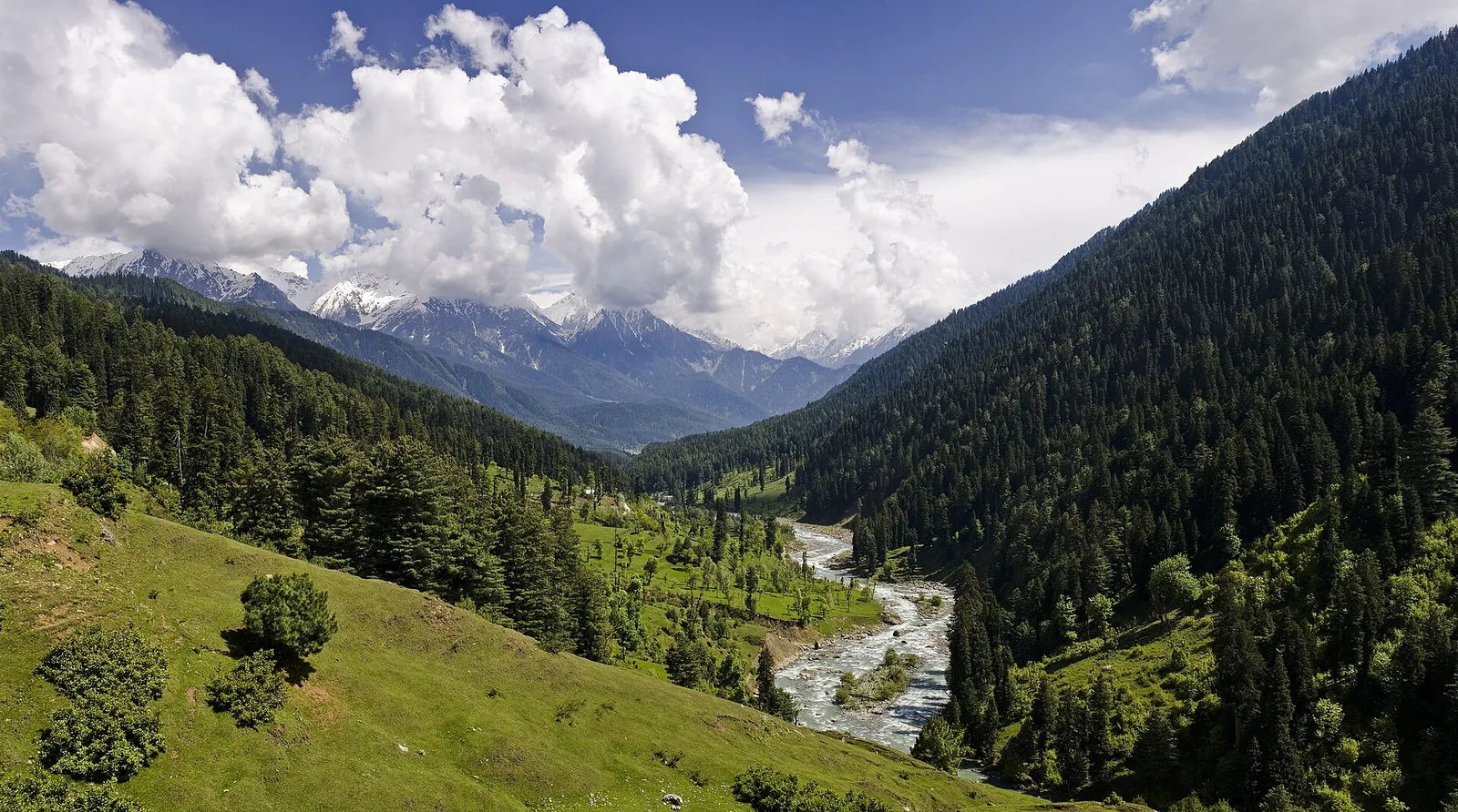 A wide photograph of the Pahalgam valley in Kashmir: green meadows and forested slopes rising to bare mountains under cloud.